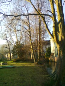 Niederbronn