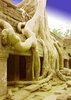 2005 Angkor 2